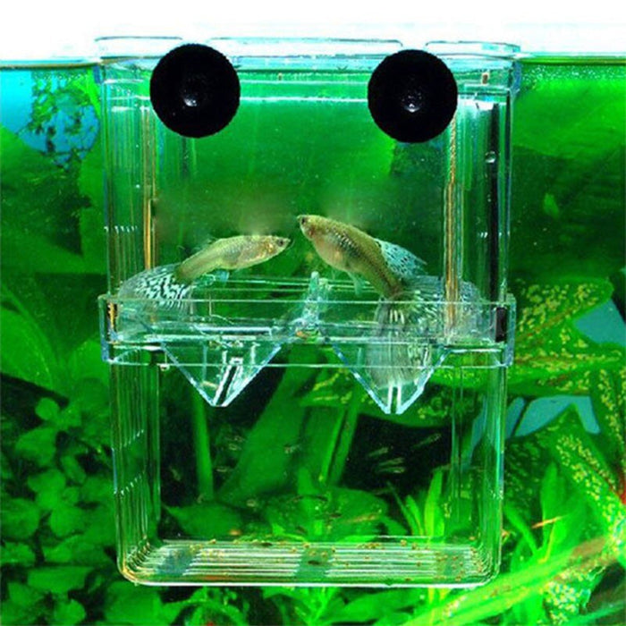 Multifunctional High Clear Fish Breeding Isolation Box