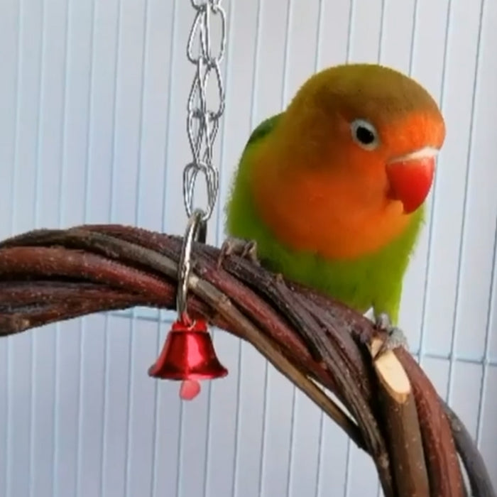 Rattan Hoop Bird Toy