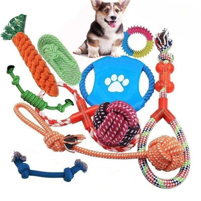 Dog Set Chew Toy