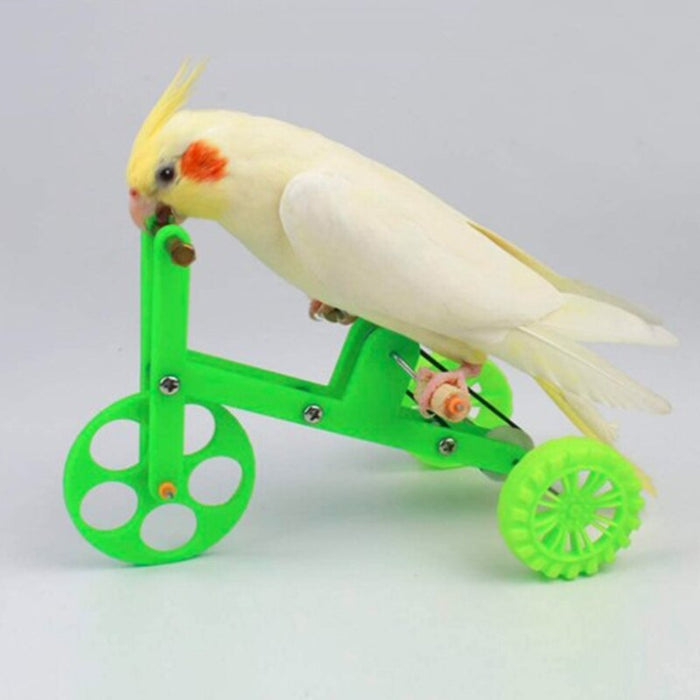 Bike Bird Toys