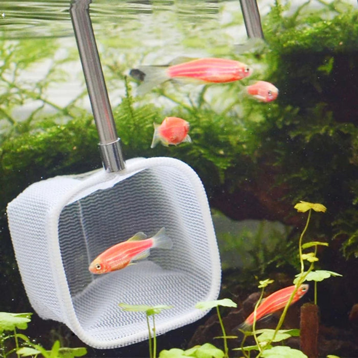 Catching Fish Tank Cleaning Net Accessories
