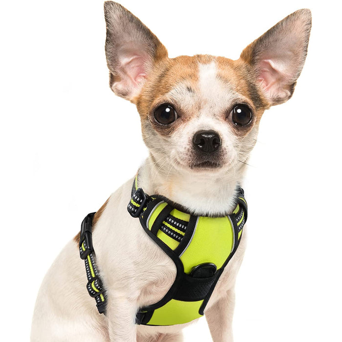 Walking Pet Harness With 2 Metal Rings And Handle Adjustable