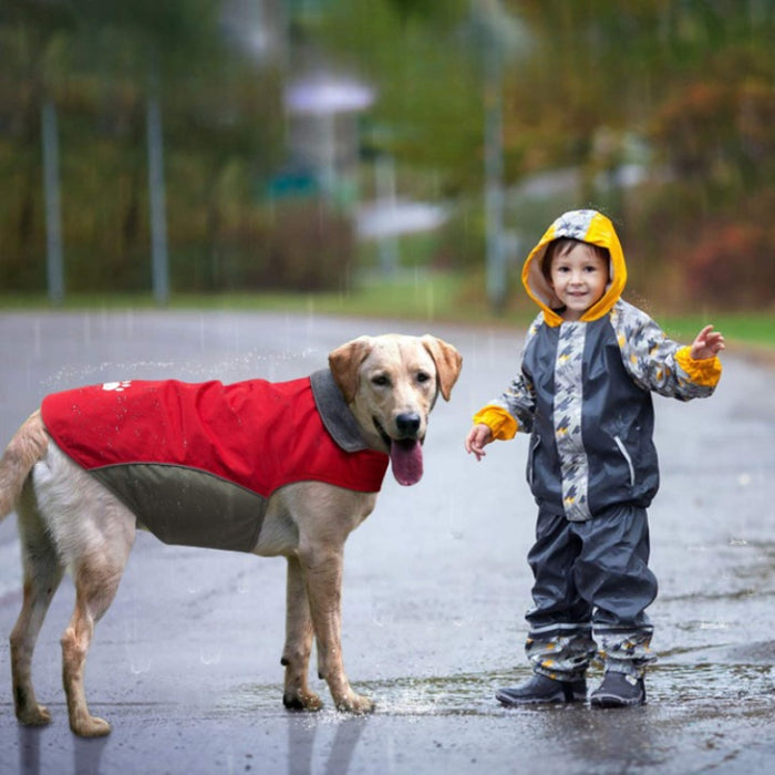 Adjustable Warm Jacket For Dogs