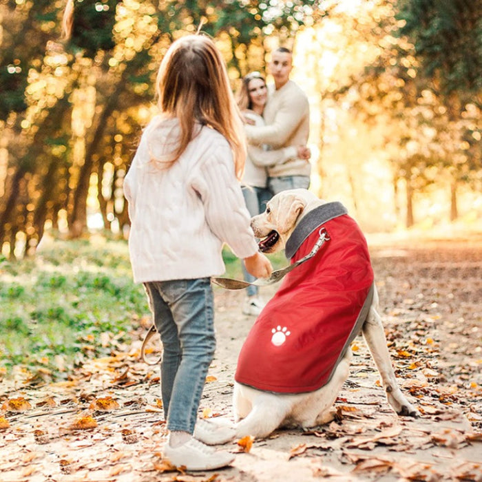 Adjustable Warm Jacket For Dogs