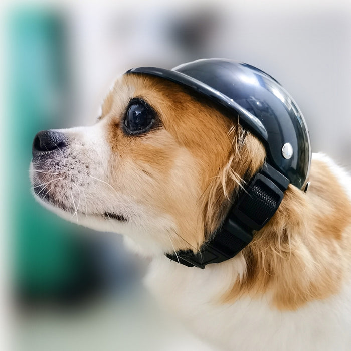 Safety Helmet For Dogs