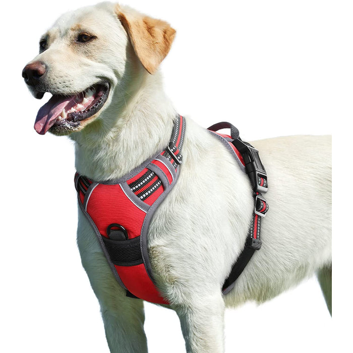 Walking Pet Harness With 2 Metal Rings And Handle Adjustable