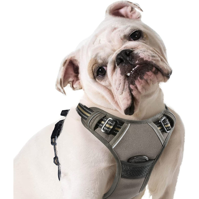 Walking Pet Harness With 2 Metal Rings And Handle Adjustable