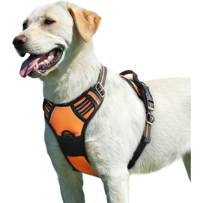 Walking Pet Harness With 2 Metal Rings And Handle Adjustable