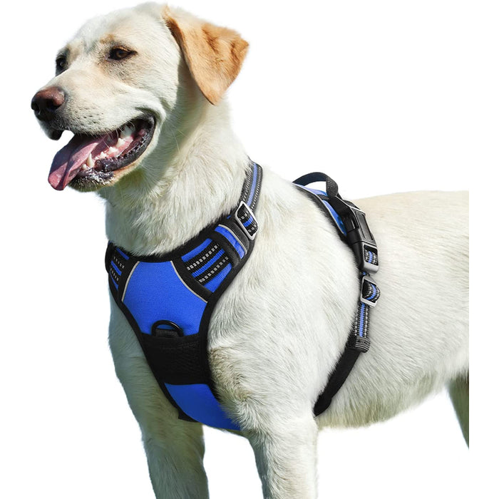 Walking Pet Harness With 2 Metal Rings And Handle Adjustable