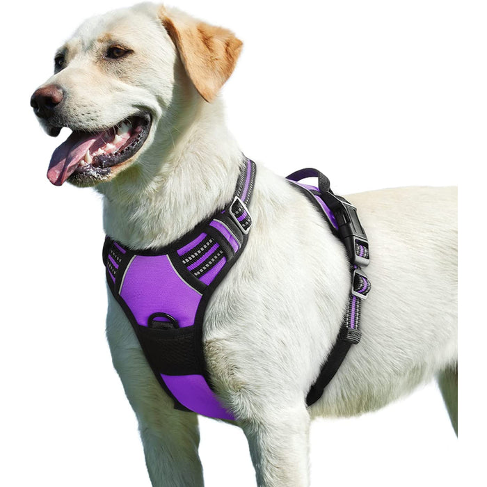 Walking Pet Harness With 2 Metal Rings And Handle Adjustable