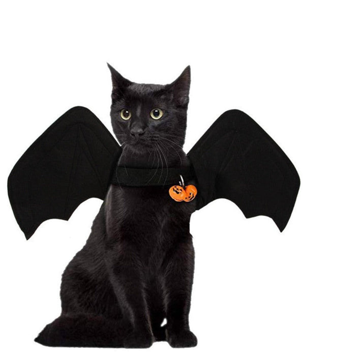 Cat Clothes Halloween Costume