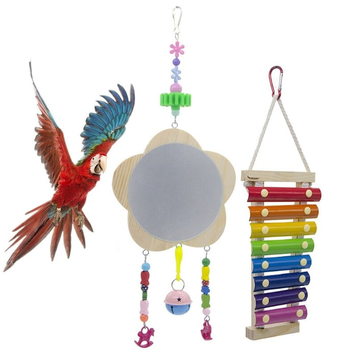 Educational Xylophone Toy For Birds