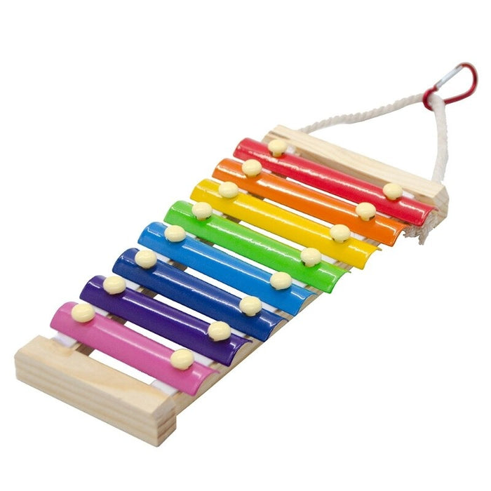 Educational Xylophone Toy For Birds