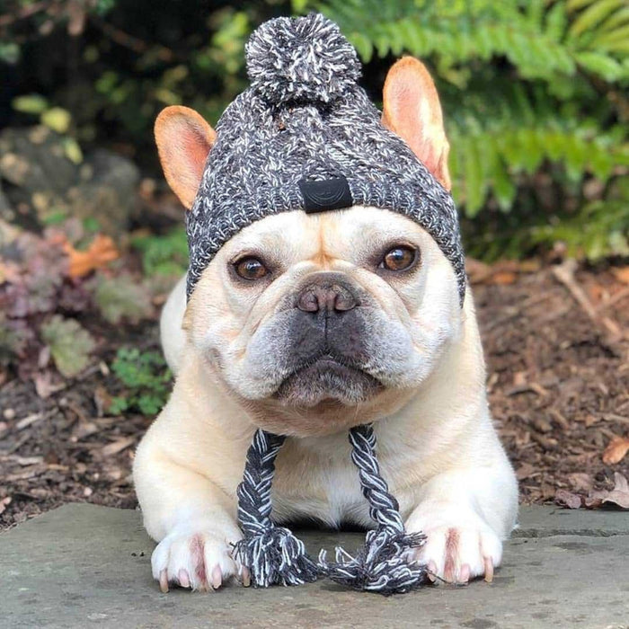 Winter Pet Dog Hat