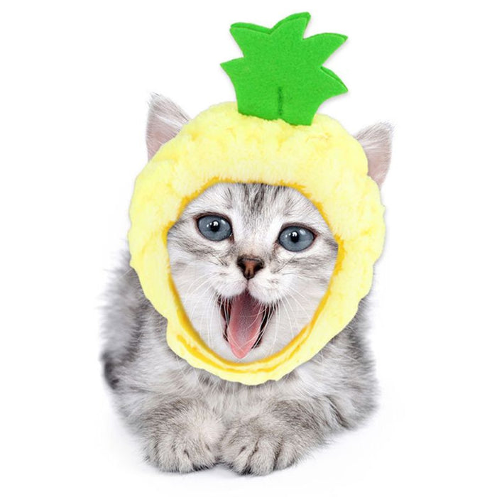 Pineapple Cat Hat