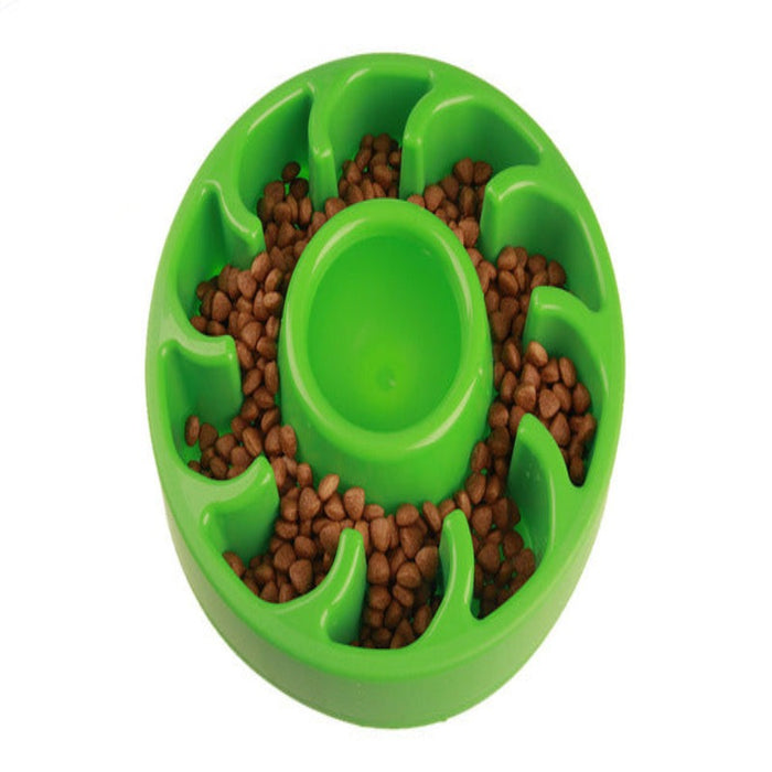 Slow Feeder Food Bowl For Dogs