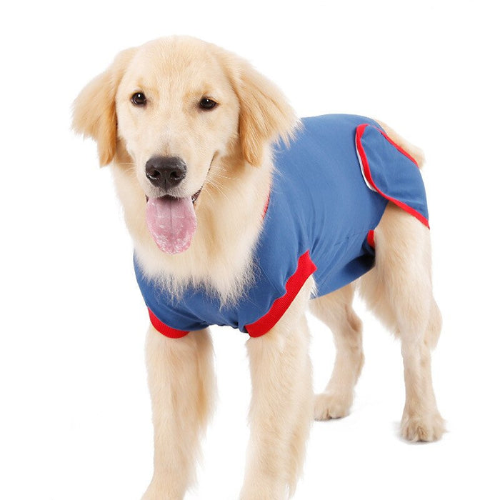 Recovery Suit Clothes For Dogs