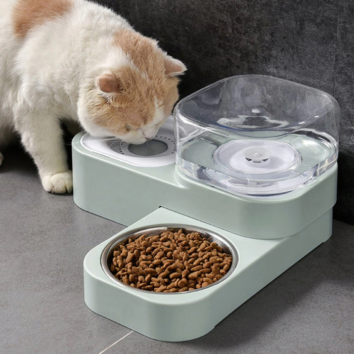 Automatic Cat Feeder and Water Bowl
