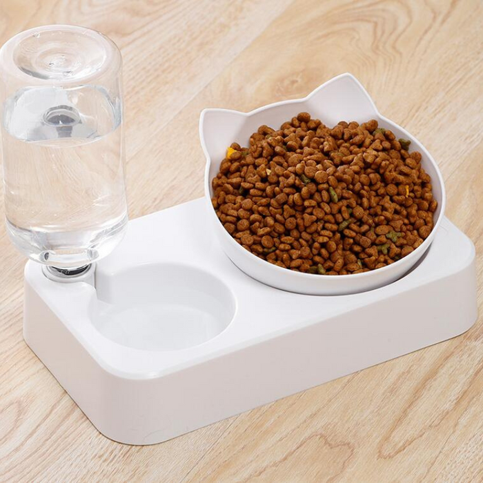 Automatic Pet Feeder with Water Dispenser