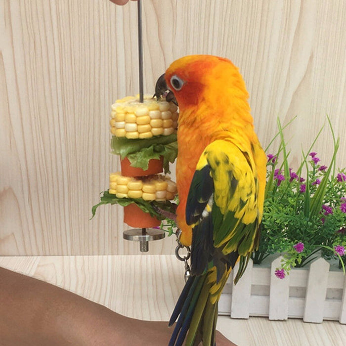 Birds Food Holder