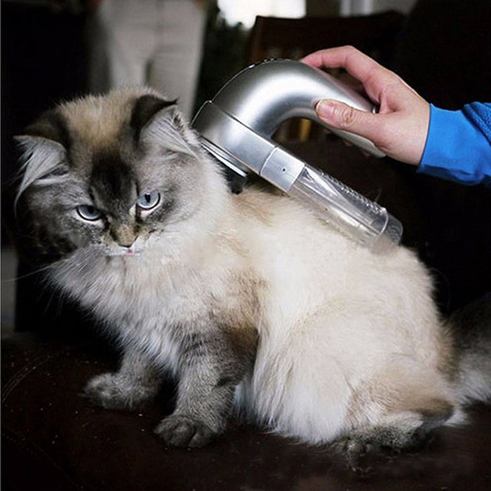 Hair Remover For Dogs