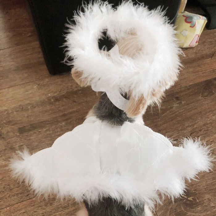 Dog Cat Feather Angel Halo Wing Pet Costume