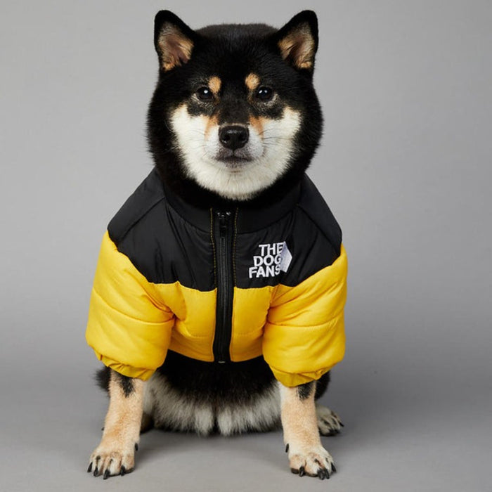 Luxury Designer Dog Coat For Winter & Autumn