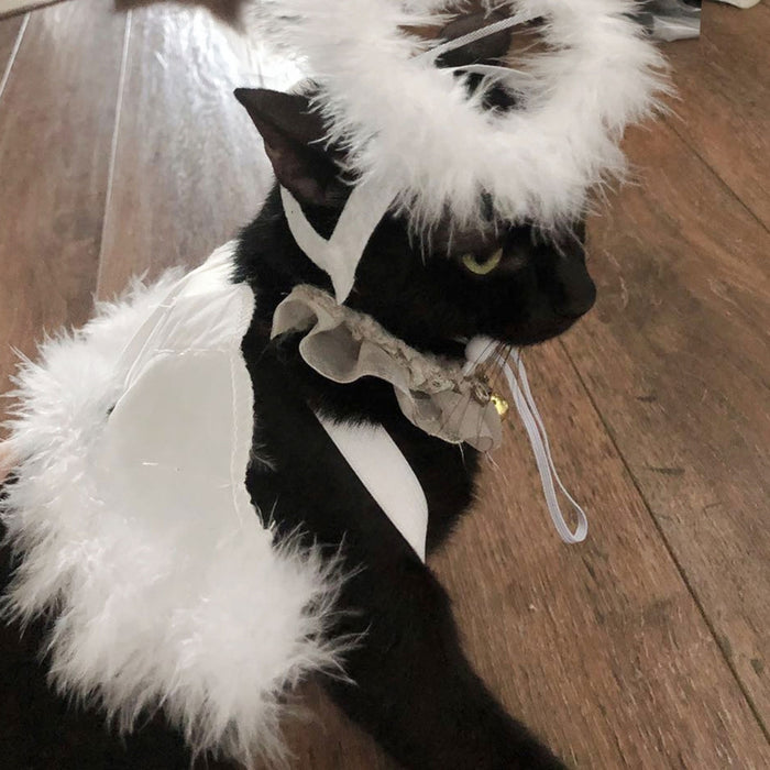 Dog Cat Feather Angel Halo Wing Pet Costume