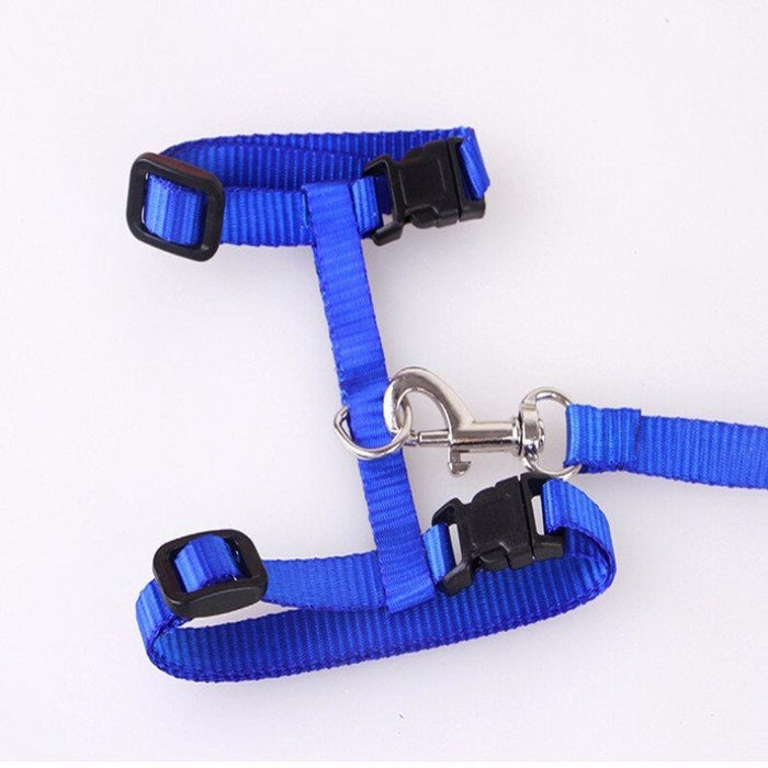 Cat Collar Harness And Leash