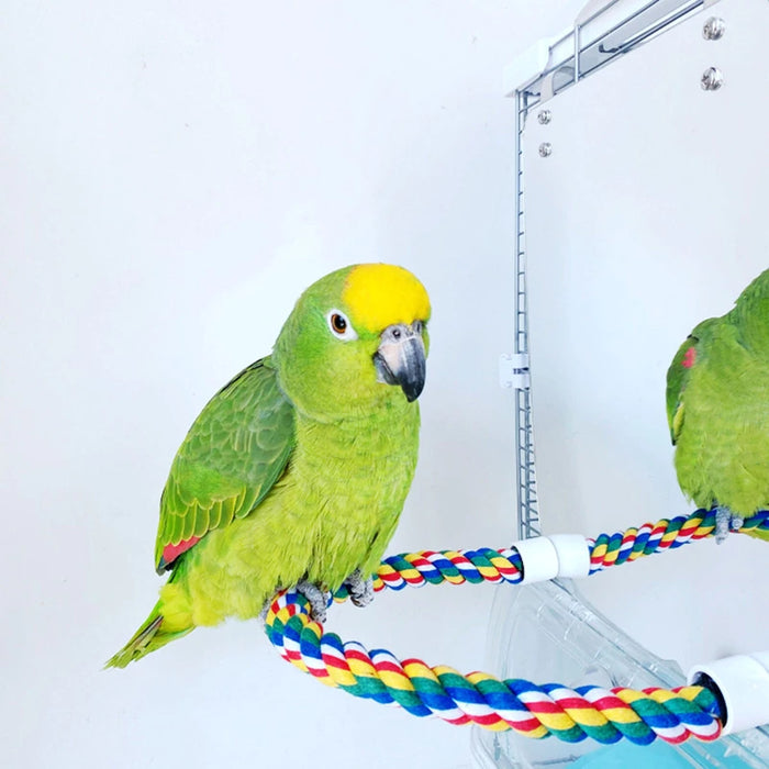 Parrot Toy Acrylic Bird Mirror