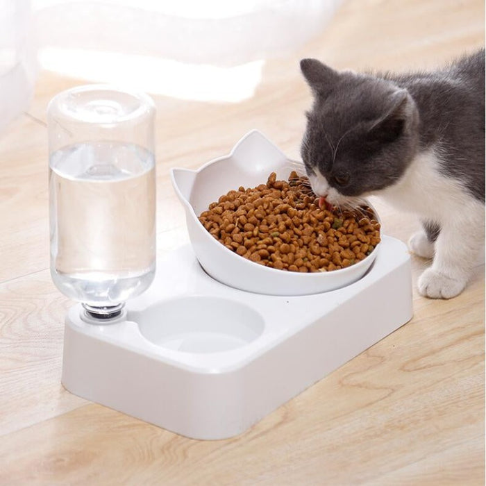 Pet Food And Water Dispenser