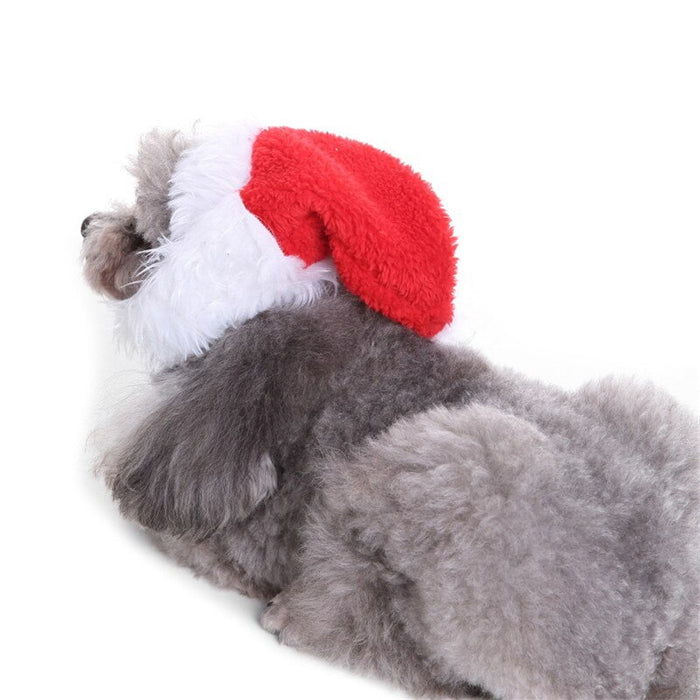 Big Beard Christmas Dog Hat