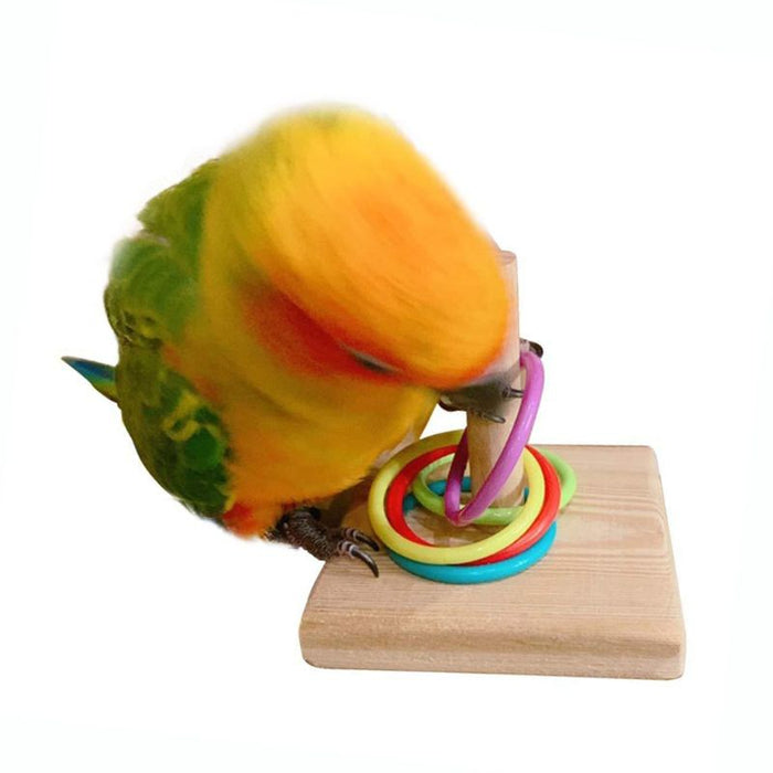 Wooden Bird Toy Parrot