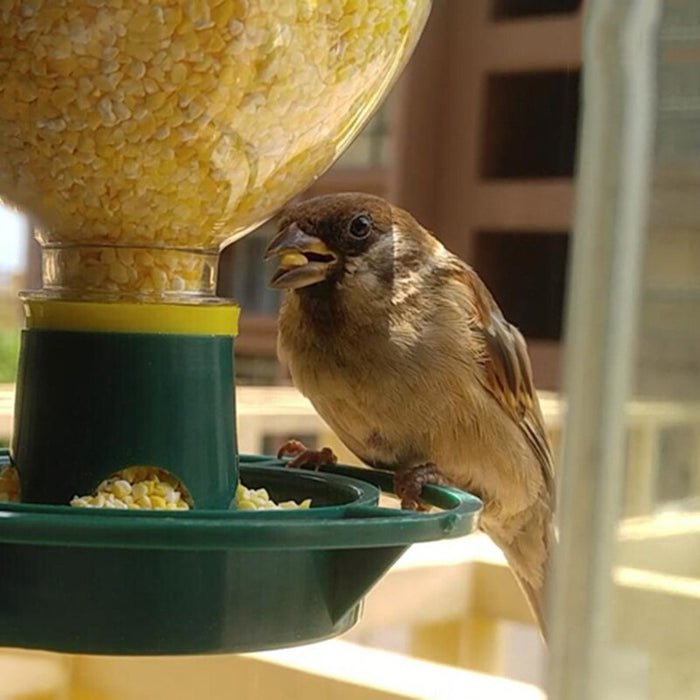 Automatic Bird Seeds Feed Hanging Cup