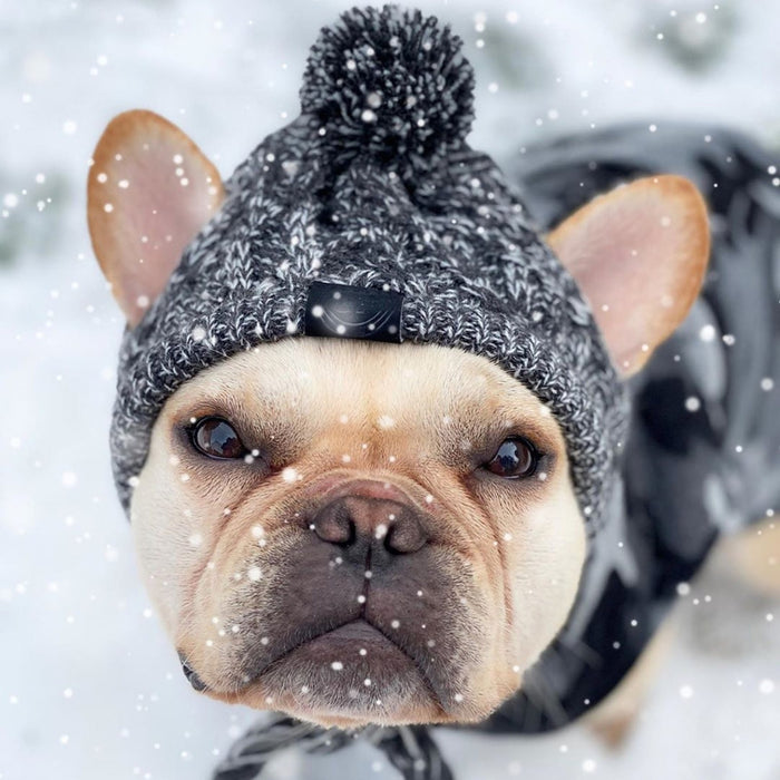Winter Pet Dog Hat