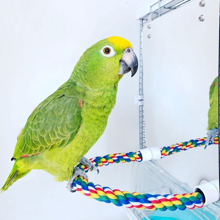Parrot Toy Acrylic Bird Mirror