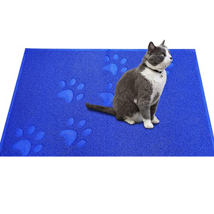 Kitty Scatter Control Washable Indoor Pet Rug And Carpet