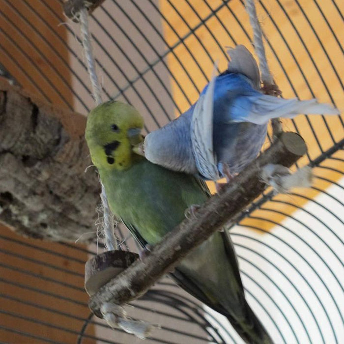 Wooden Swing Toys Set For Birds