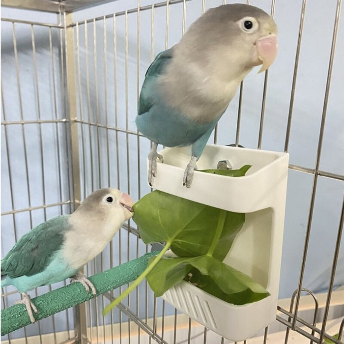 Bird Fruit Holder Toy