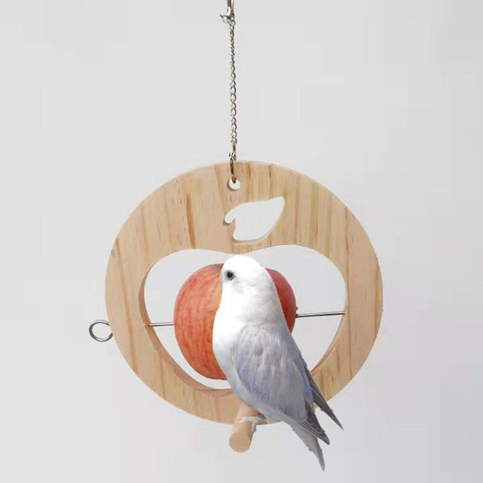 Bird Feeder for Outdoors Hanging