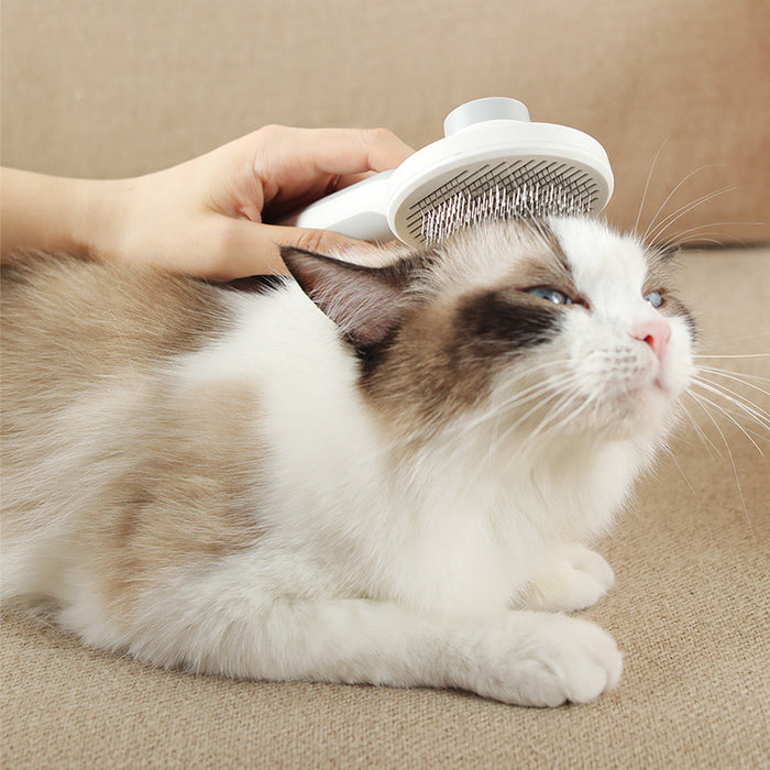 Pet Comb Hair Removal