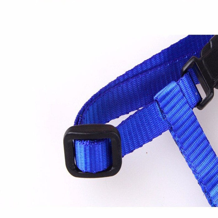 Cat Collar Harness And Leash