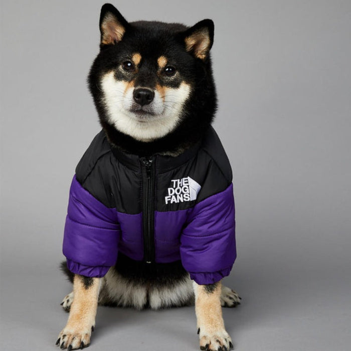 Luxury Designer Dog Coat For Winter & Autumn