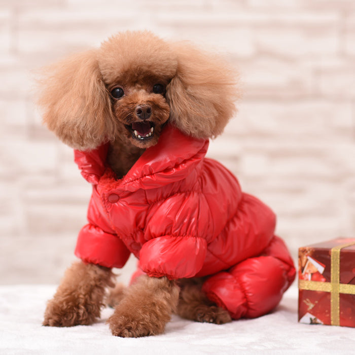 Super Warm Dog Clothes For French Bulldog