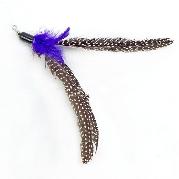 5 Pcs Bird Feather