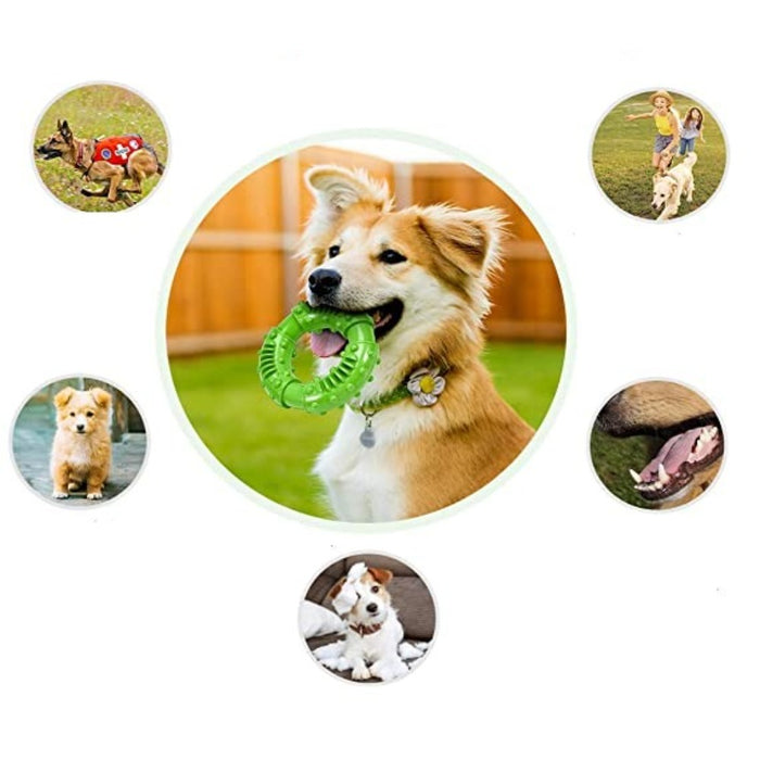 Natural Rubber Long Lasting Dog Toy