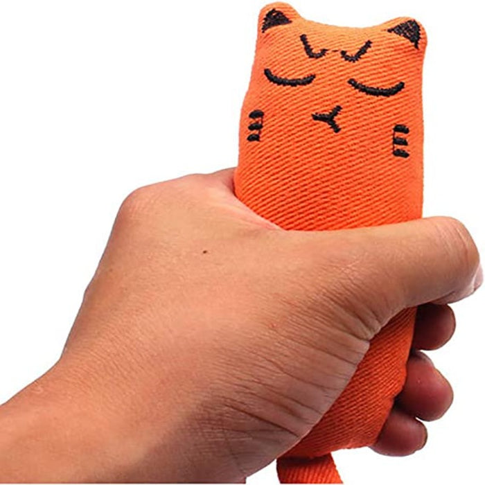 5Pcs Cat Bite Chew Toy