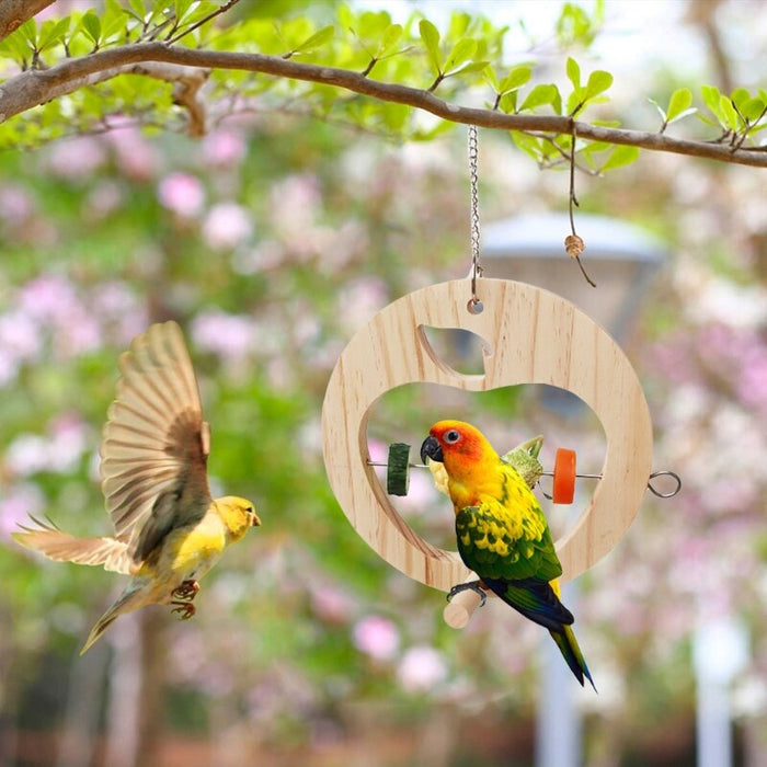 Bird Feeder for Outdoors Hanging