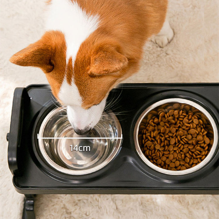 Dog Double Bowls With Stand Protect