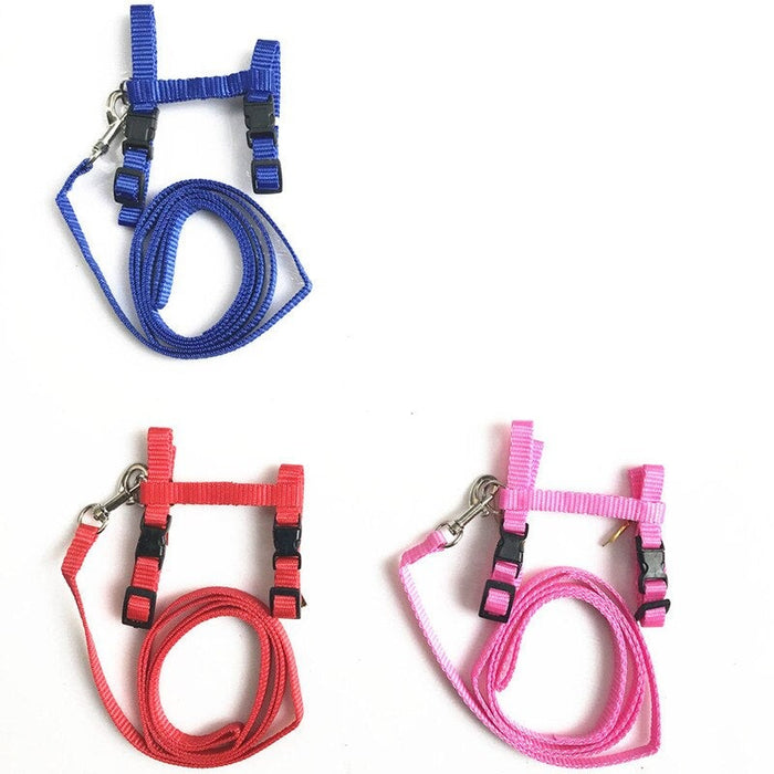 Cat Collar Harness And Leash